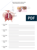 LKPD Organ Pernapasan Manusia