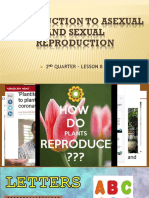 Introduction to asexual and sexual reproduction