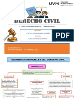 Elementos Esenciales Del Derecho Civil