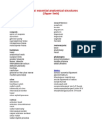 The Most Essential Anatomical Structures (Anatomy I)