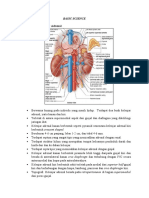 Anatomi Adrenal
