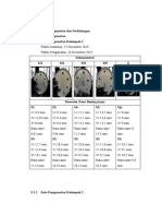 datpeng antibiotik mikro-3