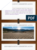 Deforestación y Decertificación 2