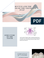 Taeb 487 Tooth Structure