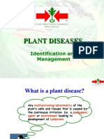 3 Plant Diseases Management
