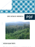 Jenis Hutan Di Indonesia