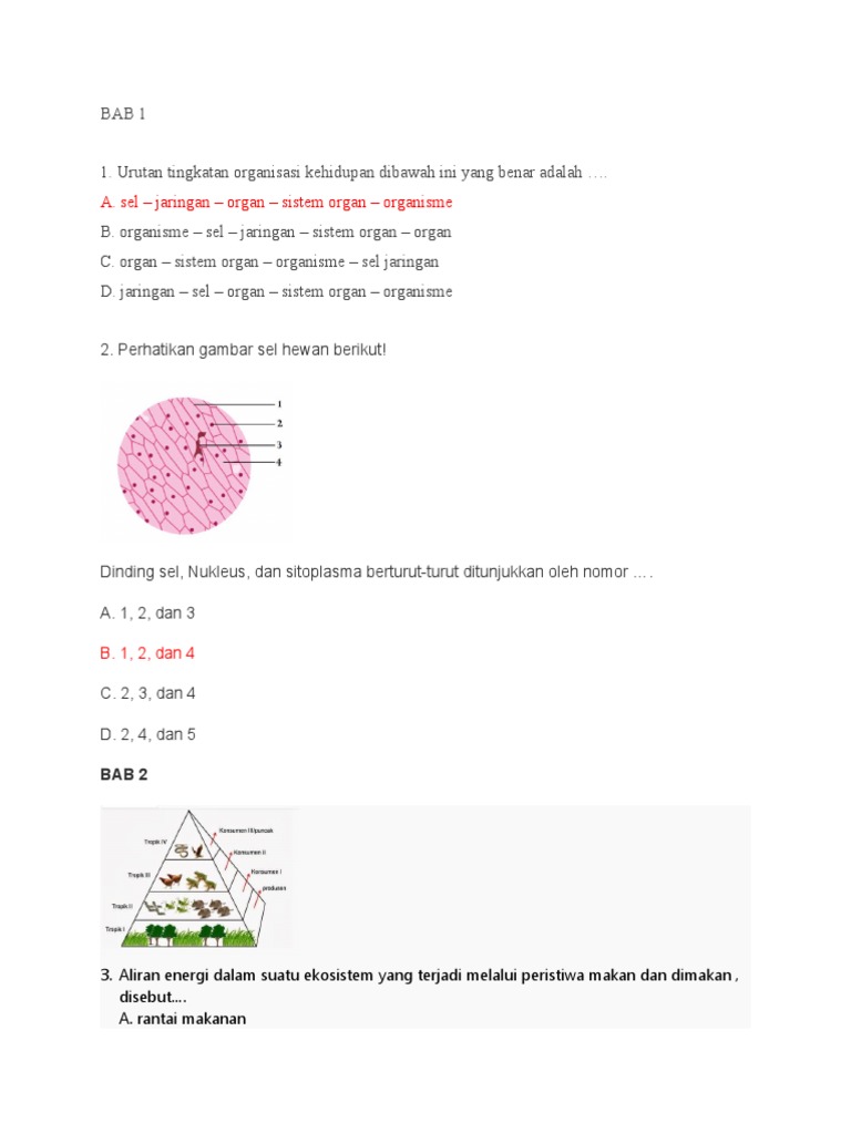 Soal Ipa Kelas 7 Smst Ii Pdf