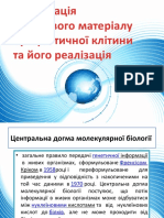 Організація Спадкового Матеріалу у Еукаріот