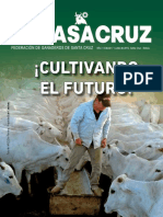 Revista Fegasacruz 07
