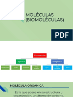 Biomoléculas: grupos funcionales y propiedades