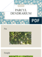 Parcul Dendrarium