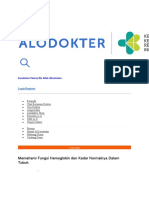 Memahami Fungsi Hemoglobin Dan Kadar Normalnya Dalam Tubuh: Kesalahan! Nama File Tidak Ditentukan