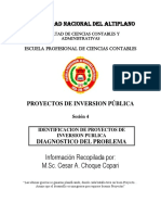 Diagnostico Del Problema para Un PIP