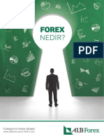 Forex Bilgi - ALB