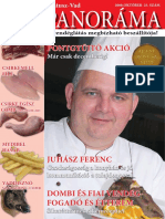 Matusz Vad - Panoráma Magazin 2008 Október