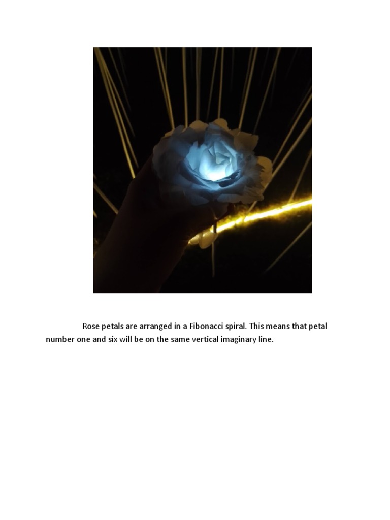 Rose petals areWPS Office PDF