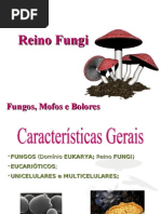 Reino Fungi - Etapas 3 e 4