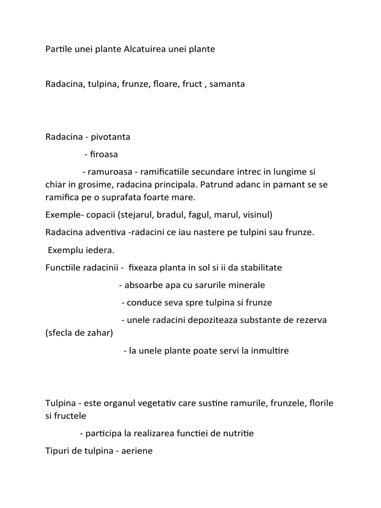 Partile Plantei | PDF