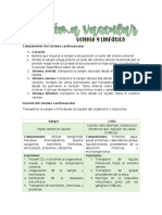 Sem12 Histo-Venas y Vasos Linfáticos