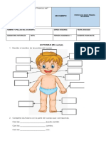Mi Cuerpo Actividad 20-02-23