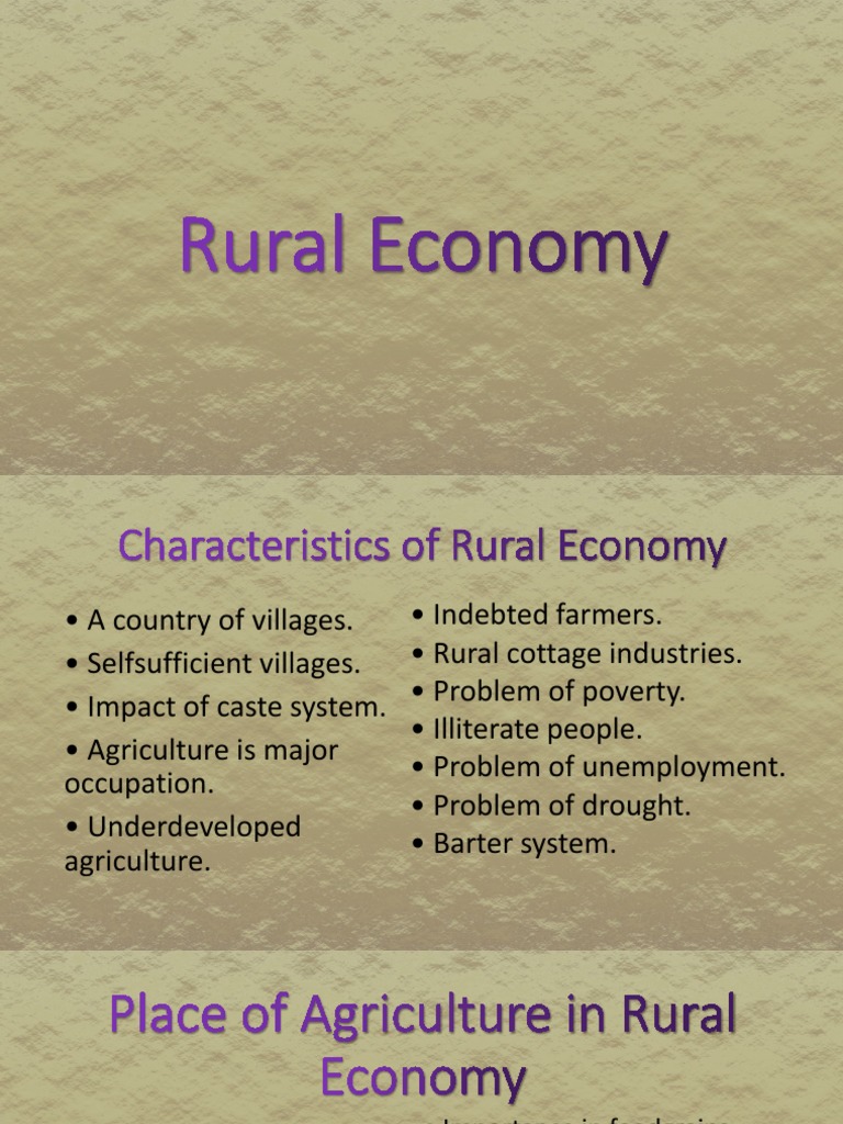 Characteristics of Rural Economy PDF Agriculture Economies