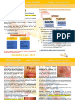 Dermatologia N°11