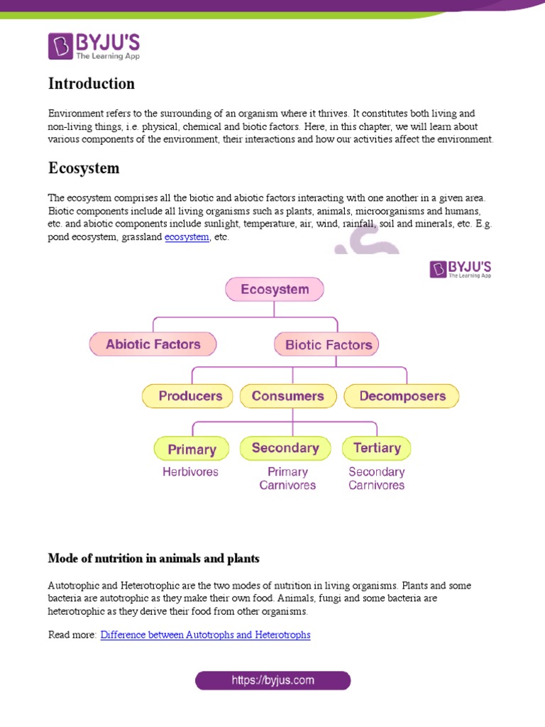 our-environment-class-10-notes-pdf-food-web-ecosystem