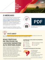 Infografico Pulverizacao Dicamba