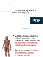 Sistema Musculo Esquelético Unidad I N.