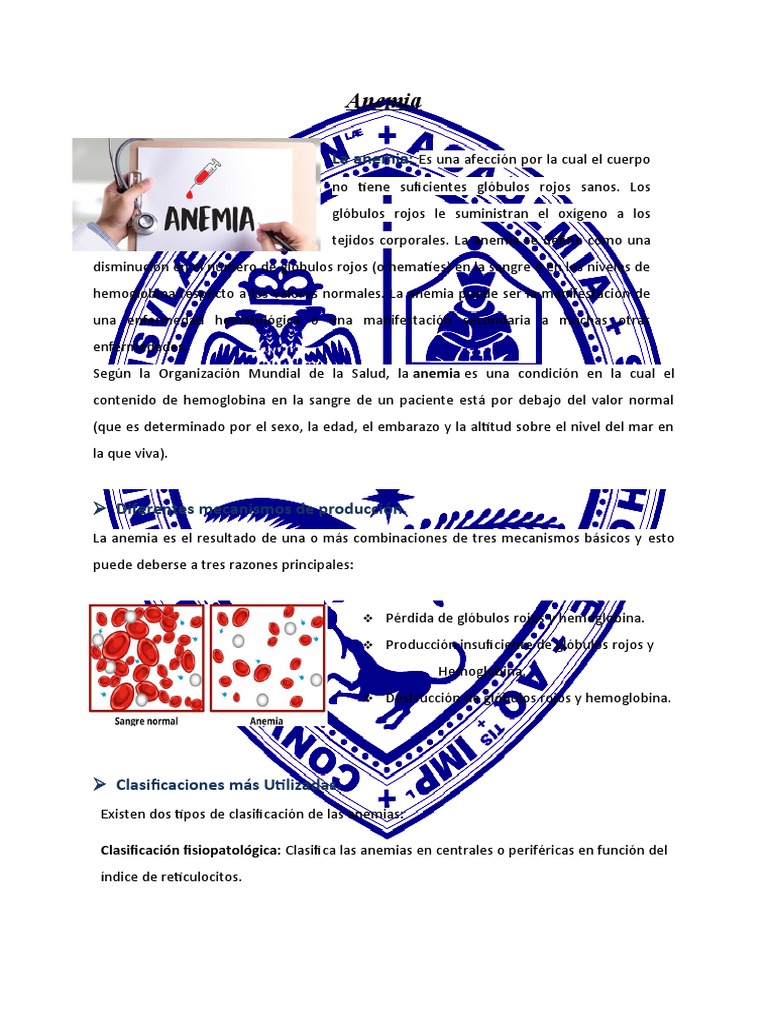 Tipos y causas de la anemia | PDF | Anemia | Glóbulo rojo