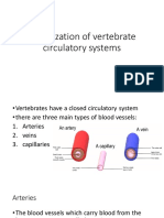 Vertebrate circulatory systems overview