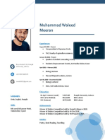 Muhammad Waleed - CV