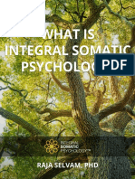 What Is Integral Somatic Psychology