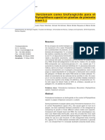 05-Trichoderma para La Pruebas de Antagonismo y Crecimeinto