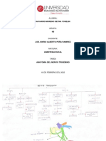 Tarea. Anatomia Del Trigemino