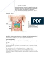 Transito Intestinal NUEVO