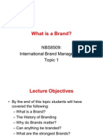 NBS8509: International Brand Management Topic 1