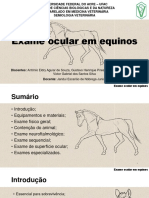 Exame ocular completo em equinos