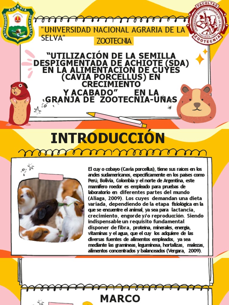 MANUAL DEL CULTIVO DE ACHIOTE PROYECTO DE DESARROLLO DE LA PDF visual data 4