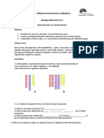 Reproducción PDF 20jhhgf