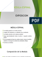 Medula Espinal Exposicion