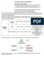 Regulación de la glucemia en monogastricos