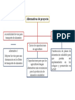 Alternativas de Proyecto