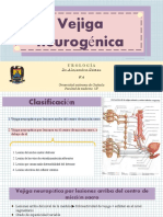 Vejiga Neurogénica