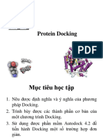 Protein Docking Bai Giang