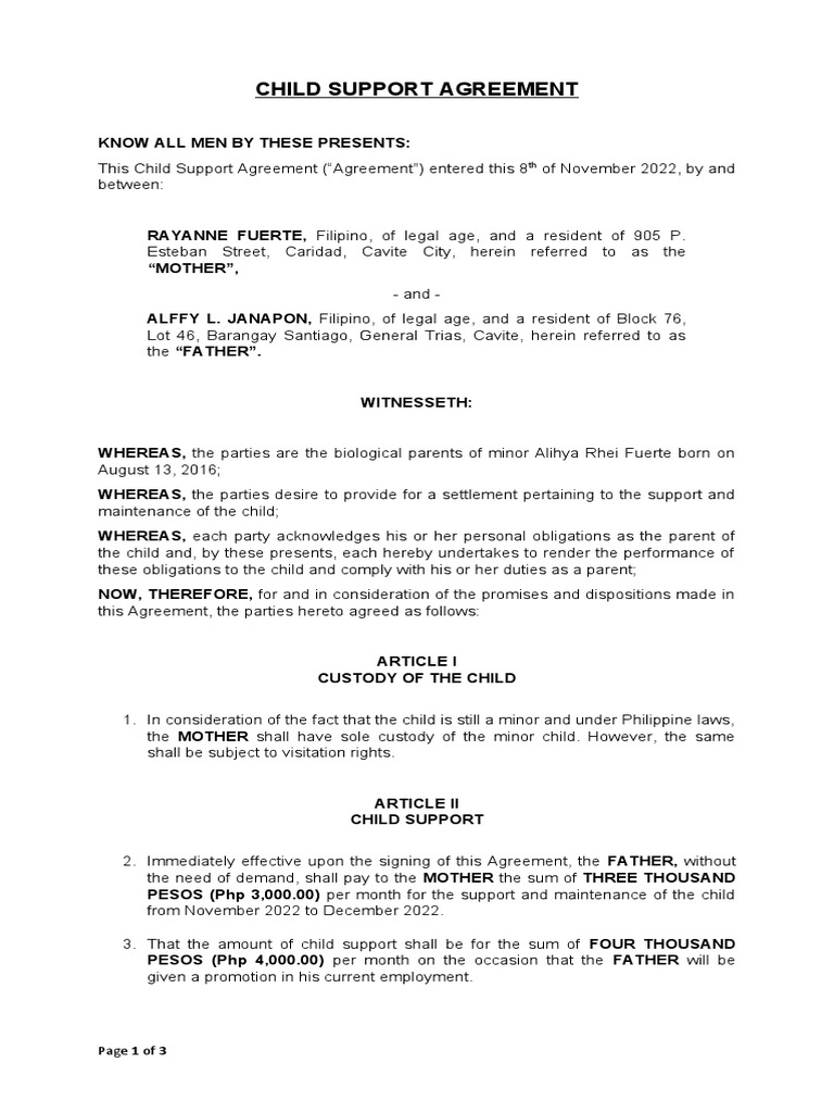 Child Support Agreement PDF Child Support Lawsuit