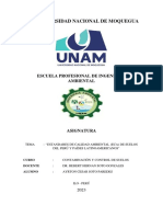 Estandares de Calidad Ambiental de Suelos Ayrton Soto