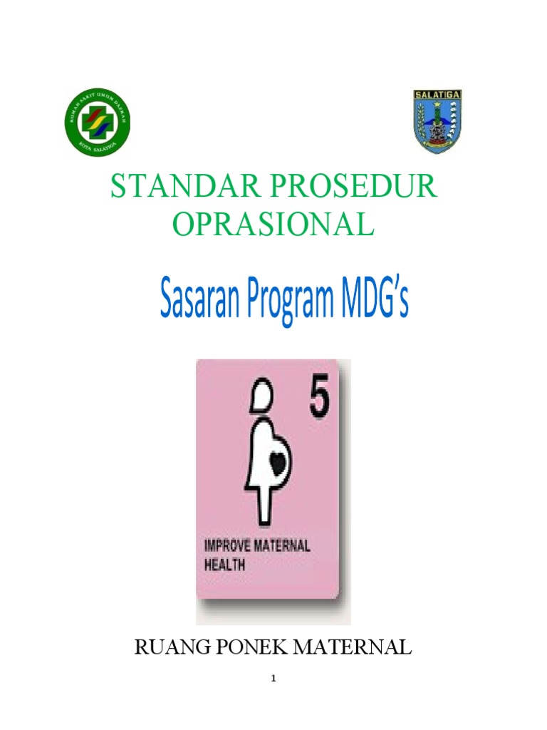 SPO Mdgs | PDF