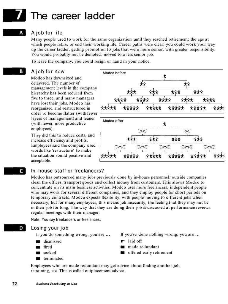 The Career Ladder PDF