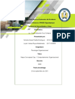 Mapa Conceptual Psicologia Organizacional NoheliayLeyla